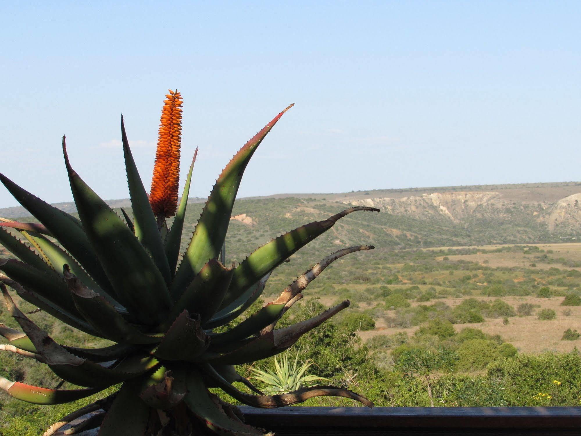 Woodbury Lodge - Riserva Faunistica di Amakhala Esterno foto