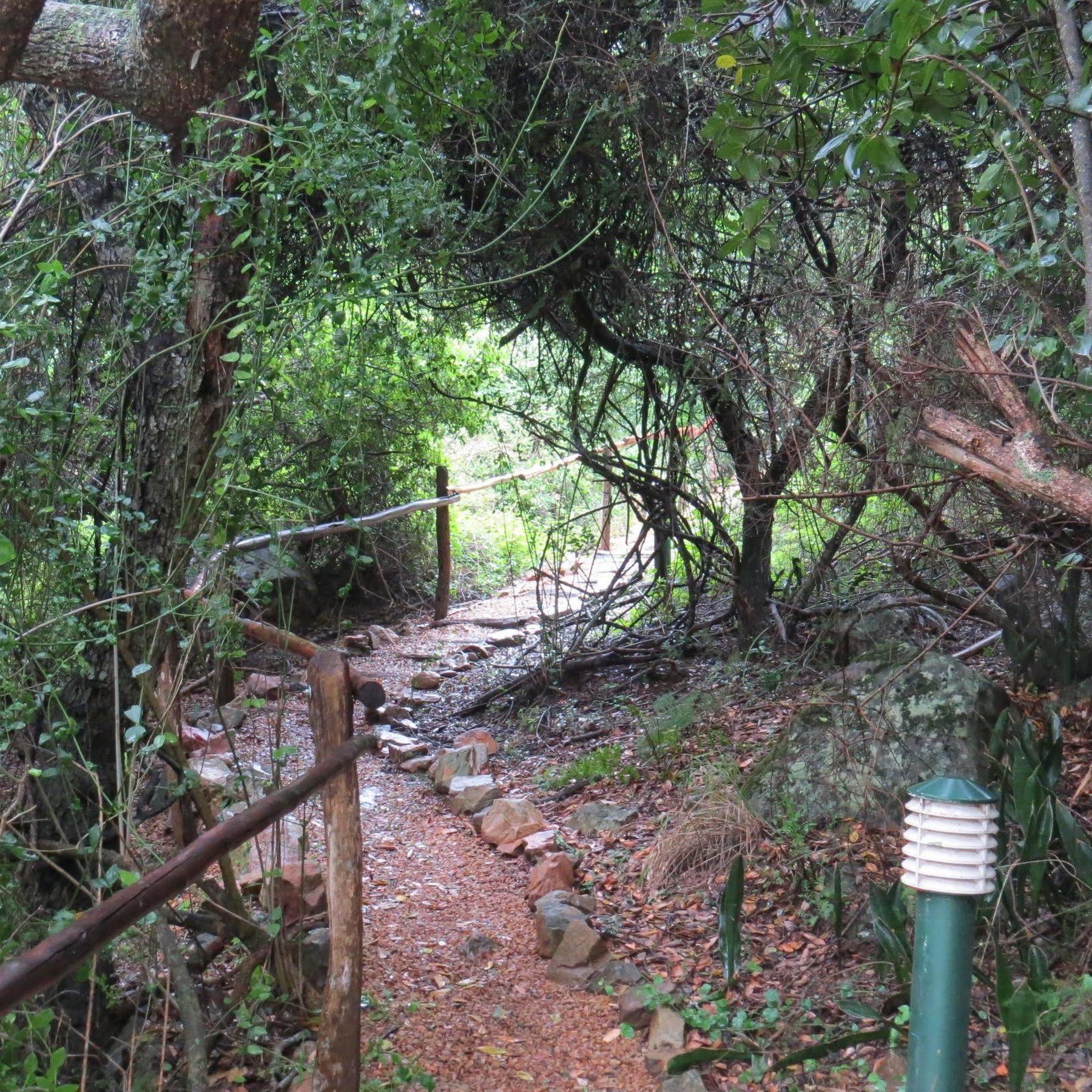 Woodbury Lodge - Riserva Faunistica di Amakhala Esterno foto